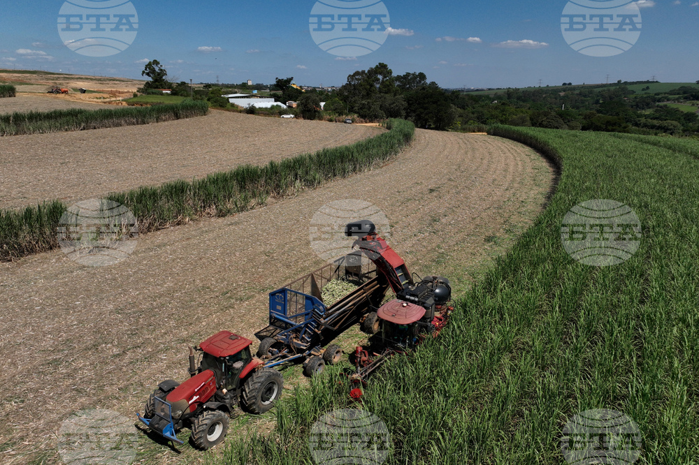 Brazil Biofuel