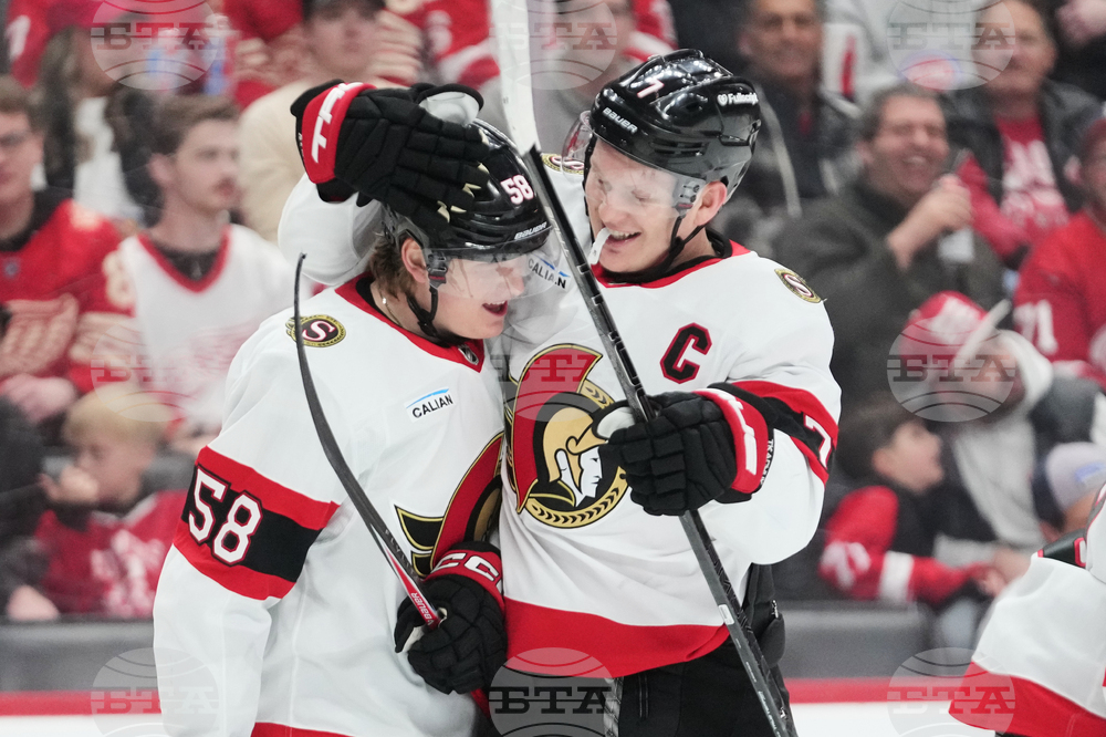 Senators Red Wings Hockey