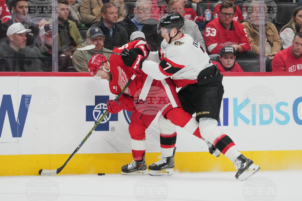 Senators Red Wings Hockey