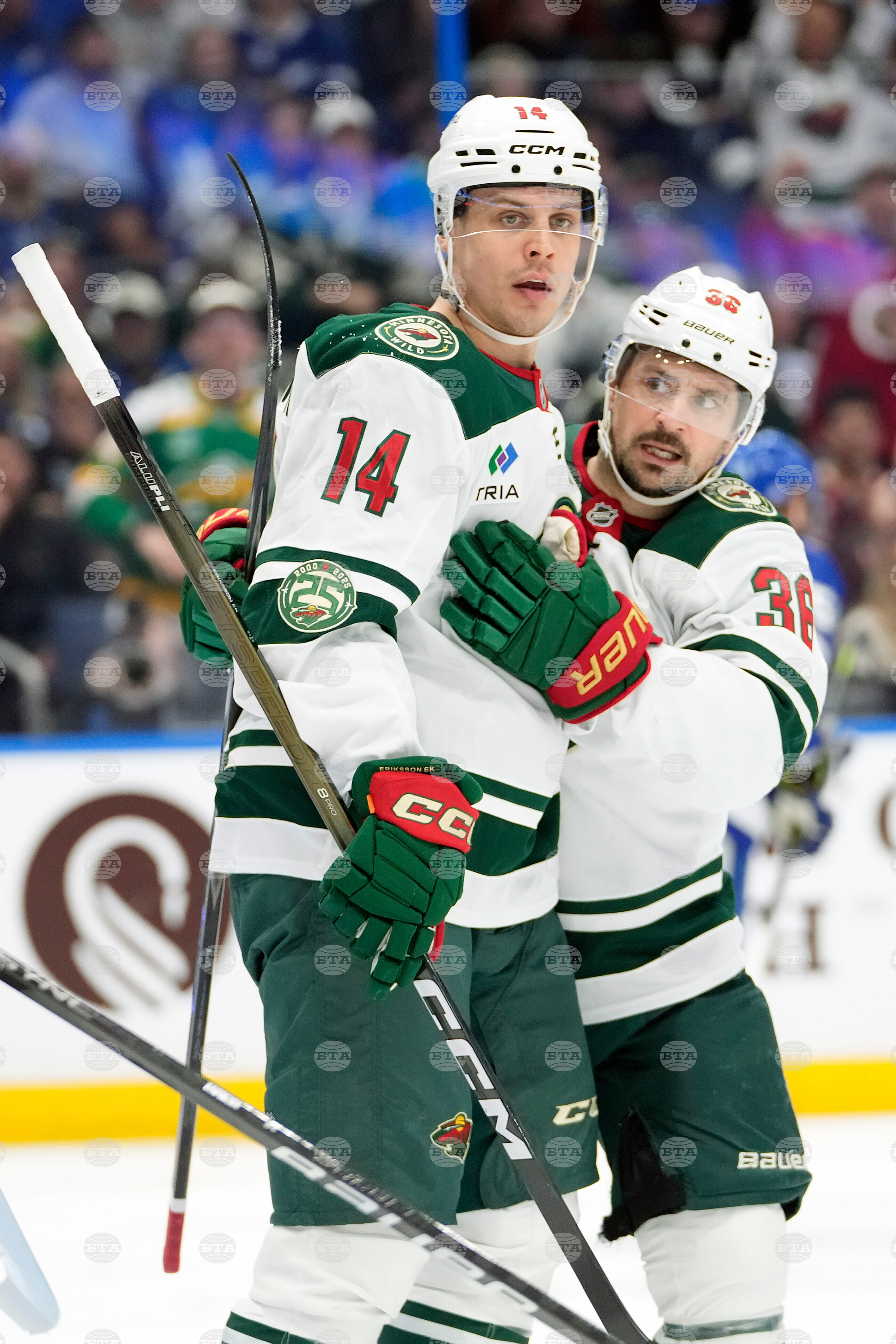 Wild Lightning Hockey