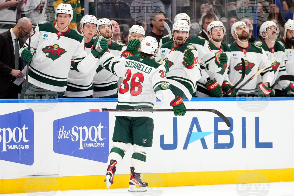 Wild Lightning Hockey