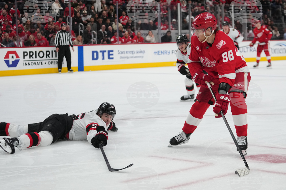 Senators Red Wings Hockey