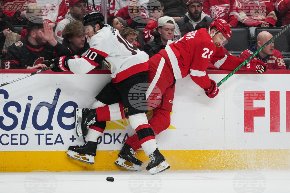 Senators Red Wings Hockey