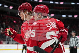 Senators Red Wings Hockey