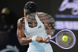 Miami Open Tennis