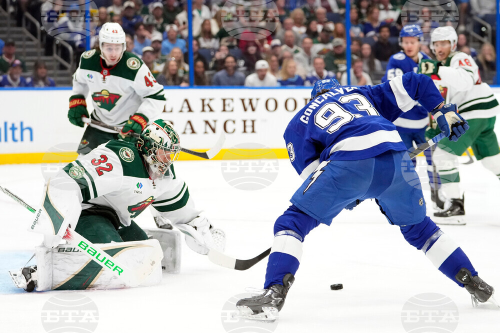 Wild Lightning Hockey