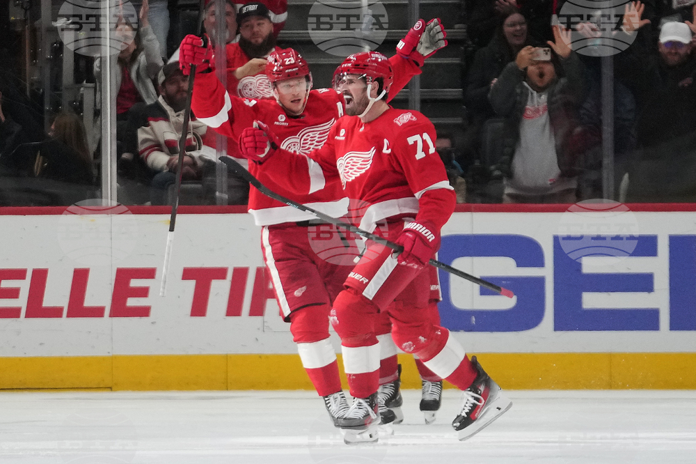 Senators Red Wings Hockey