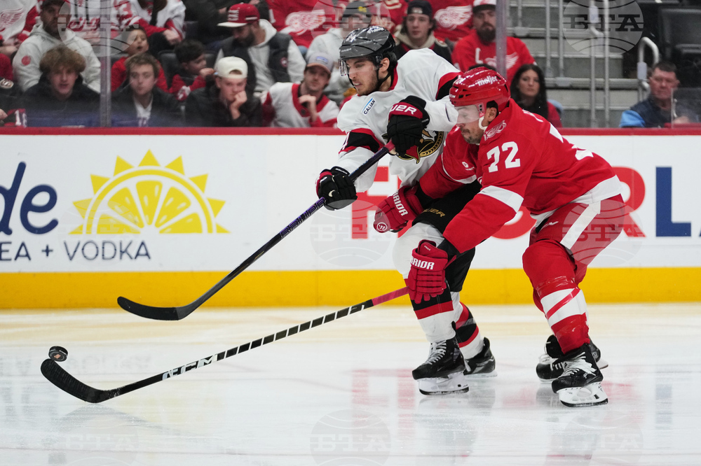 Senators Red Wings Hockey