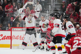 Senators Red Wings Hockey