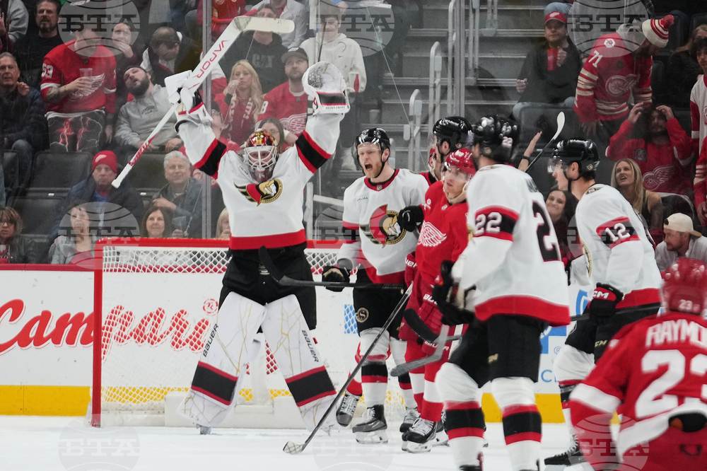 Senators Red Wings Hockey