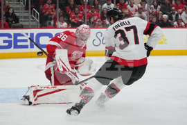 Senators Red Wings Hockey