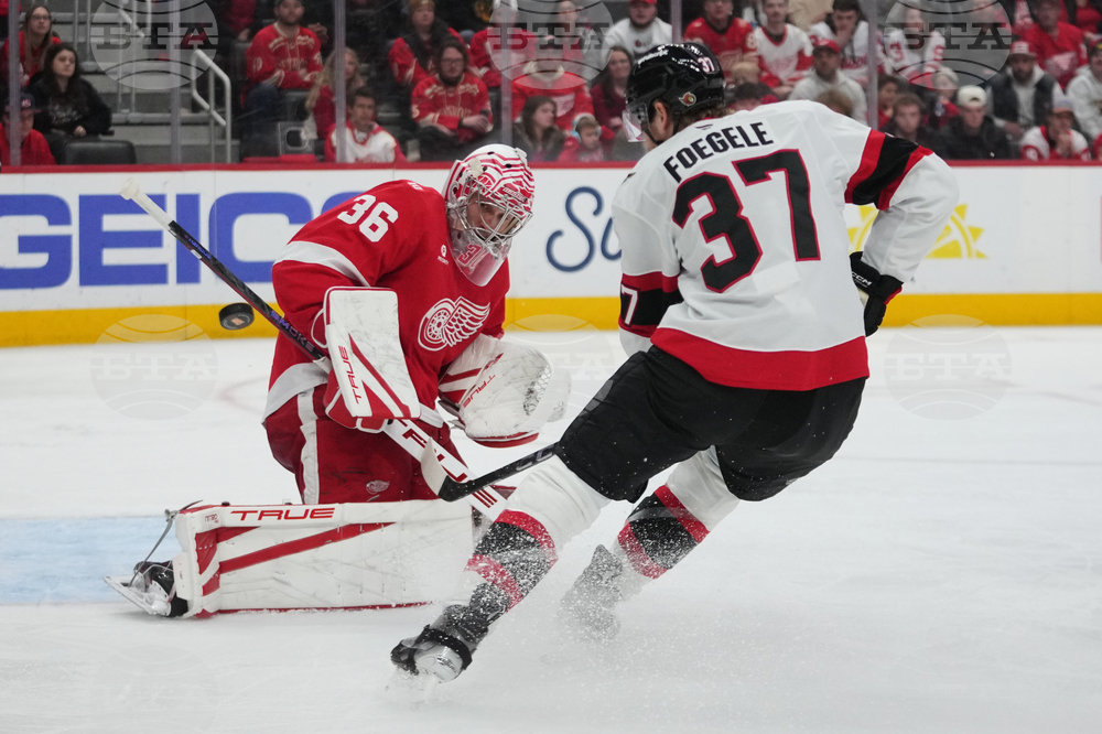 Senators Red Wings Hockey