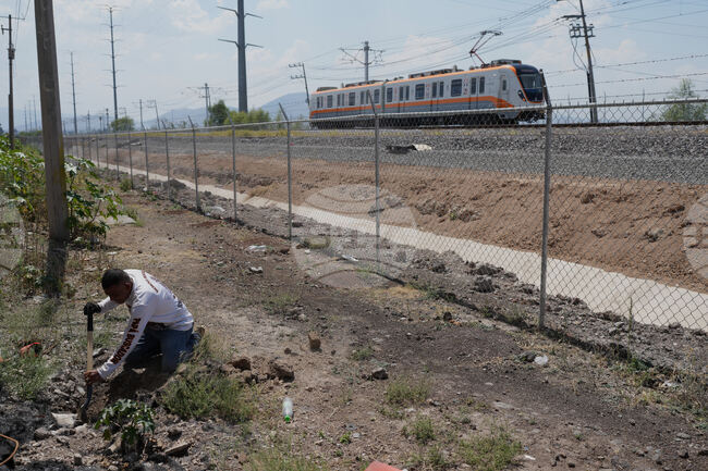 Mexico Missing People