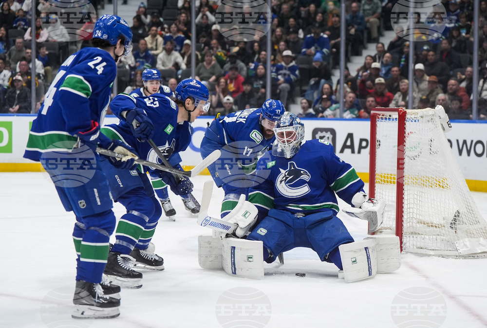 Ducks Canucks Hockey