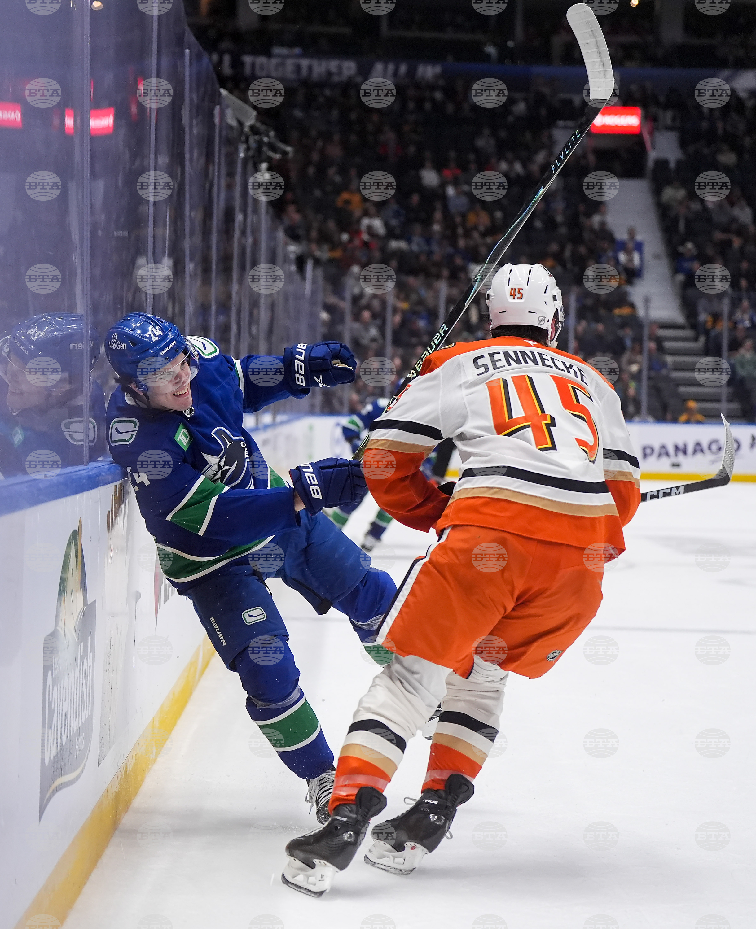 Ducks Canucks Hockey