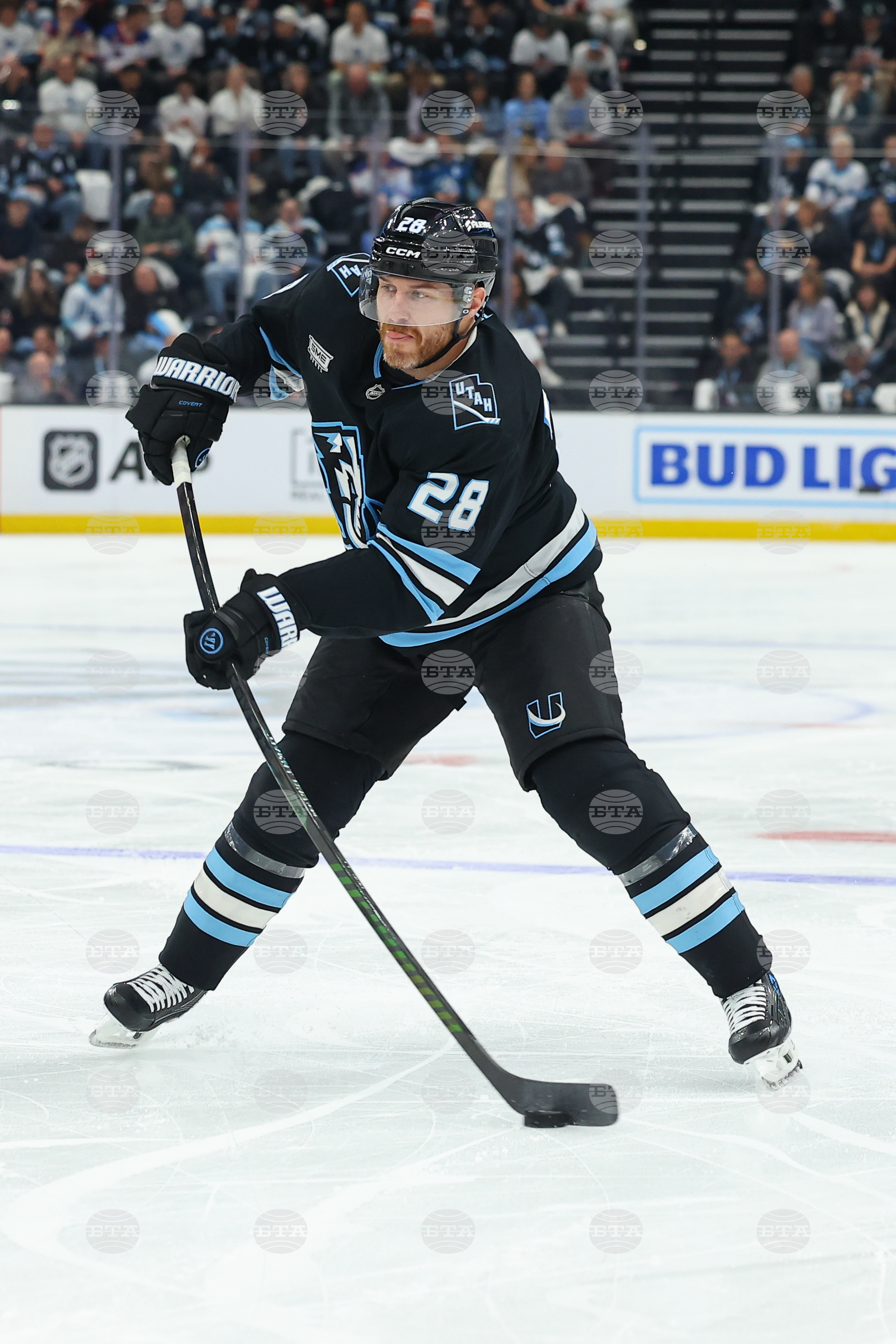 Oilers Mammoth Hockey