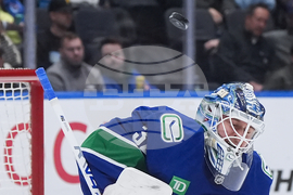 Ducks Canucks Hockey