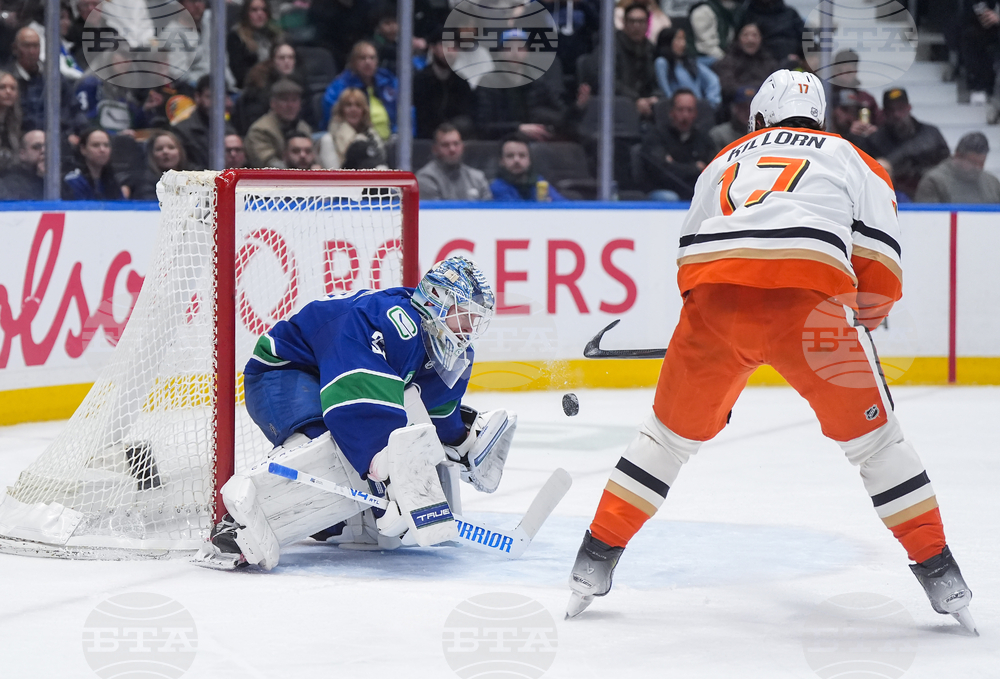 Ducks Canucks Hockey