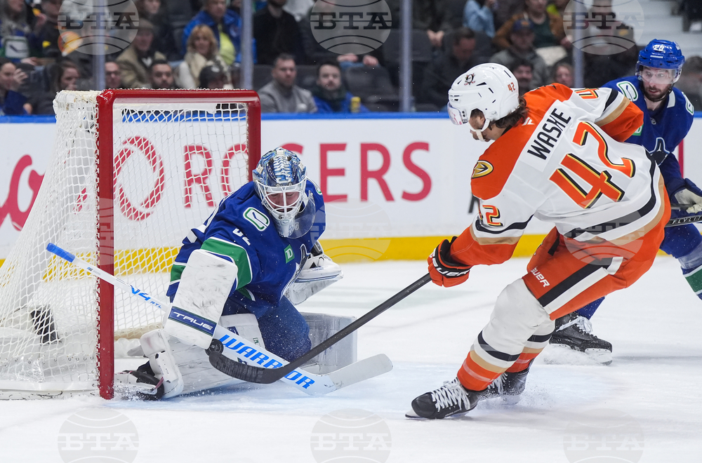 Ducks Canucks Hockey