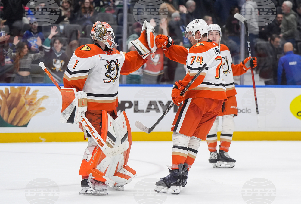 Ducks Canucks Hockey