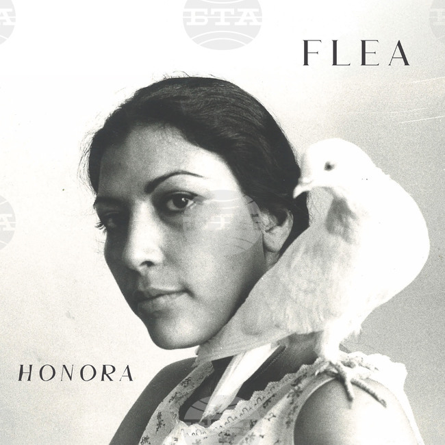 Music Review - Flea