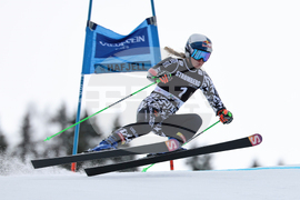 Norway World Cup Finals Alpine Skiing