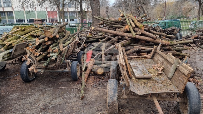 Незаконно добити дърва са открити в Монтанско, двама бракониери са задържани, съобщиха от полицията