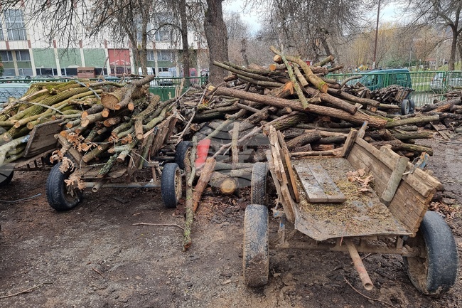 Незаконно добити дърва са открити в Монтанско, двама бракониери са задържани, съобщиха от полицията