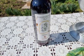 Добрич - Благовещение - сдружение „Майчина грижа“