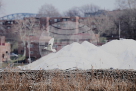 Cleveland Salt Mines