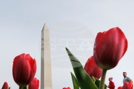 Washington Daily Life