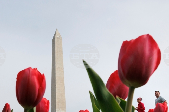 Washington Daily Life