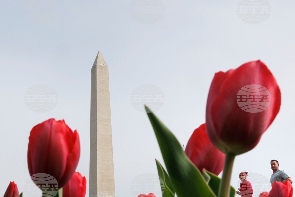 Washington Daily Life