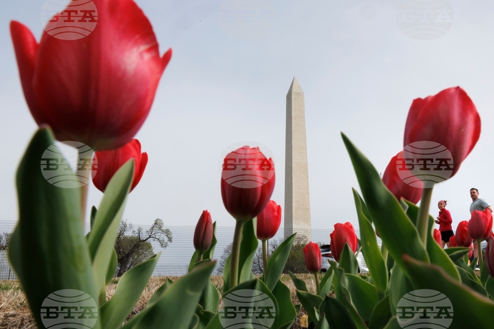 Washington Daily Life