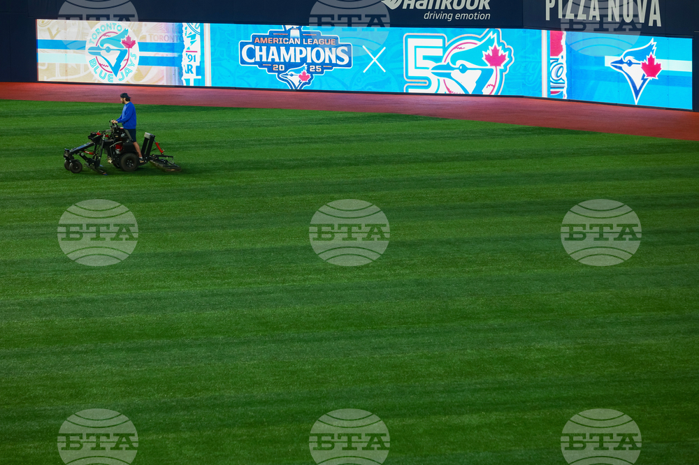 Blue Jays Baseball