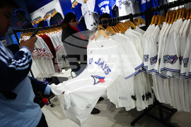 Blue Jays Baseball