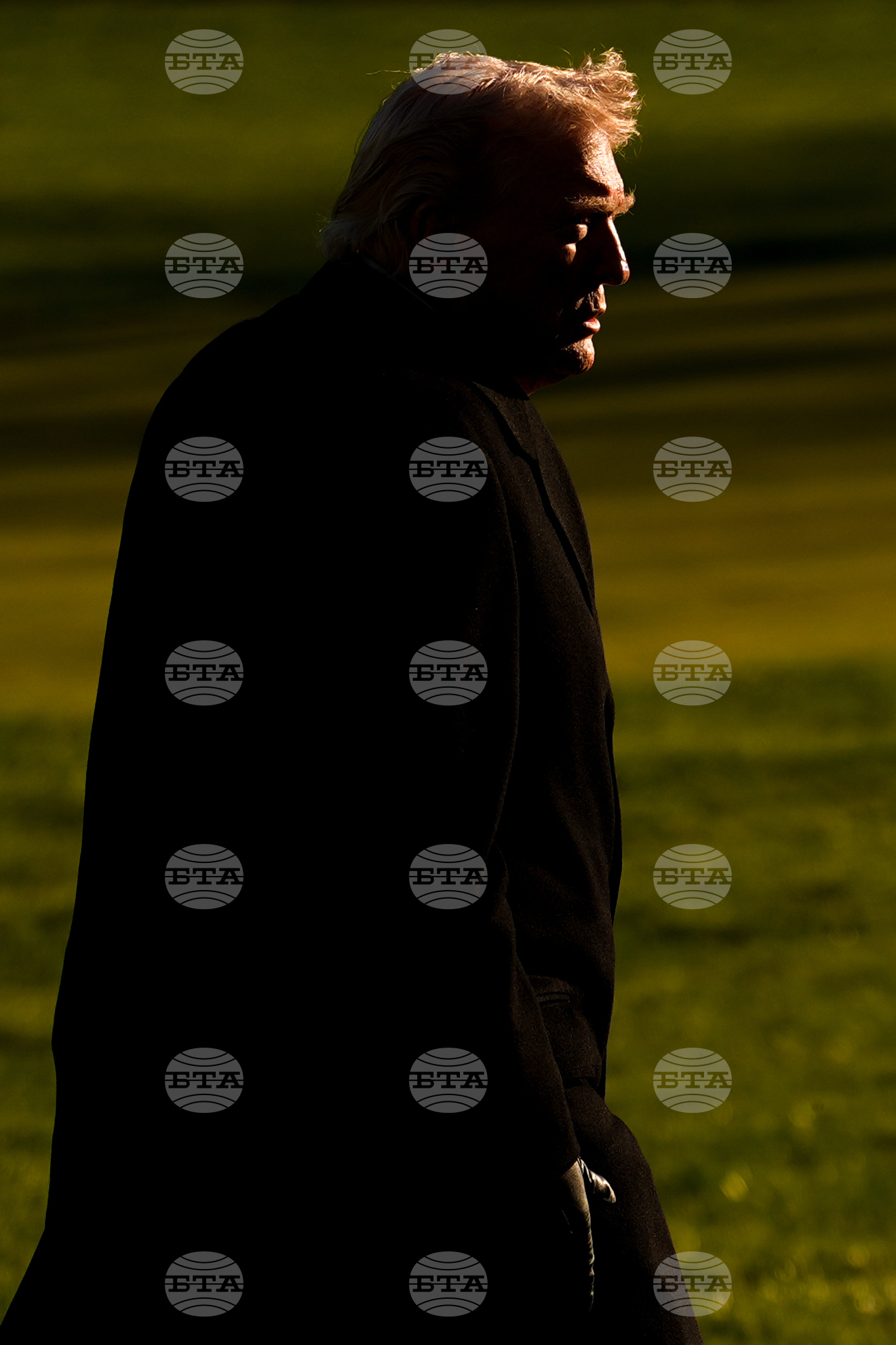 Top Vertical Photos Photo Gallery