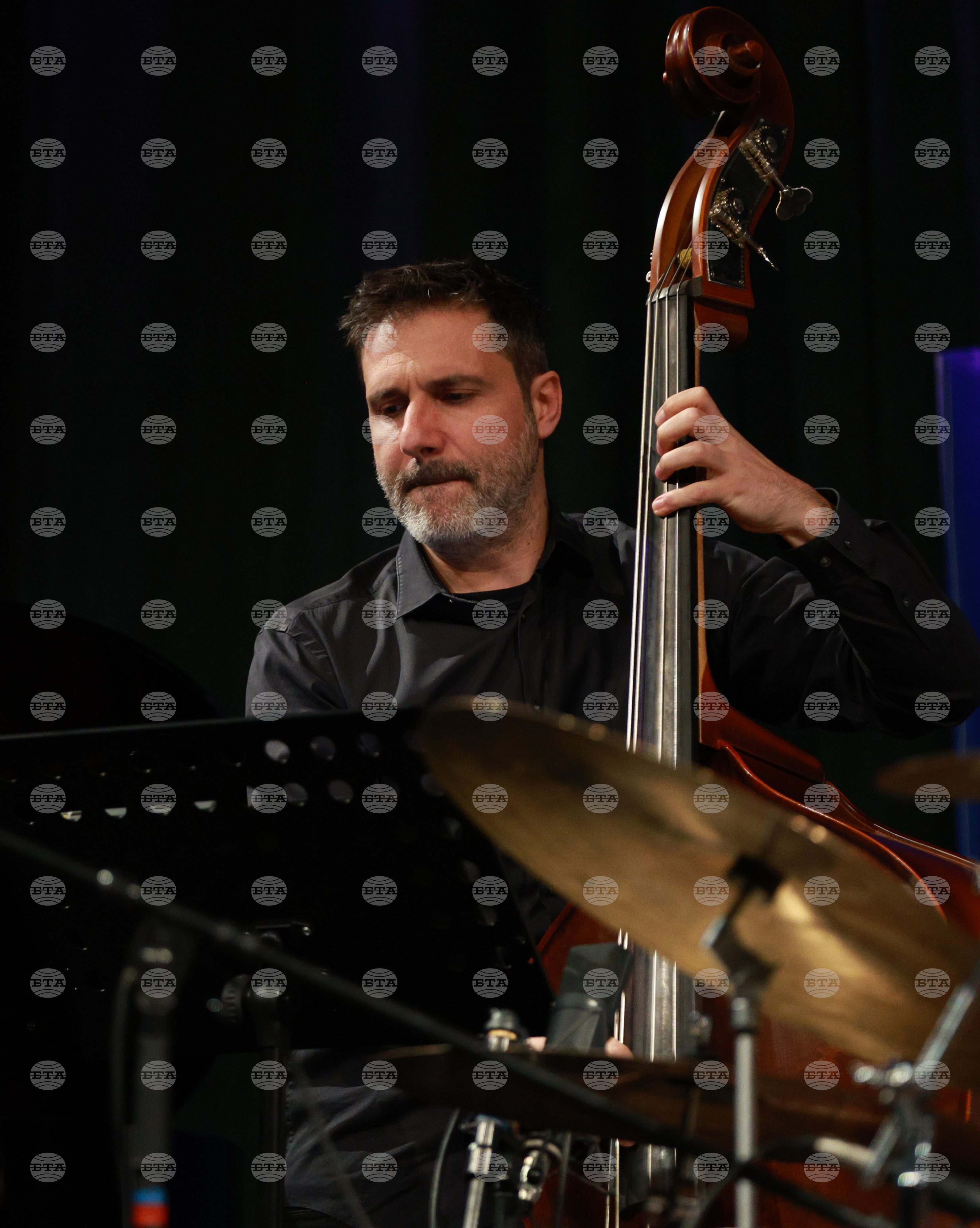 Русе - „Мартенски музикални дни" - „Зодиак"