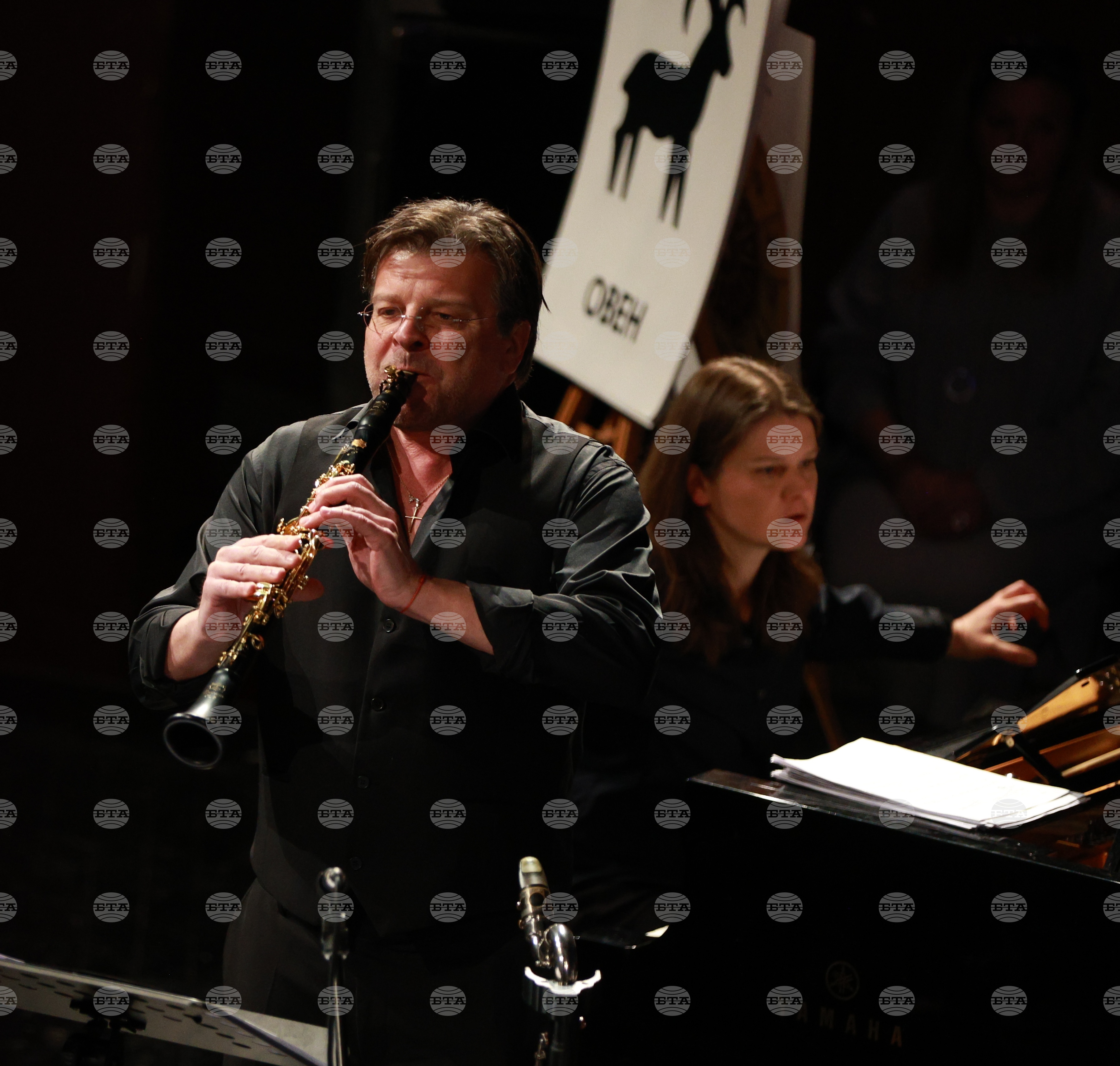 Русе - „Мартенски музикални дни" - „Зодиак"