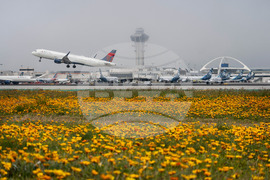 California Airport Money