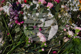 Chicago Loyola Student Killed