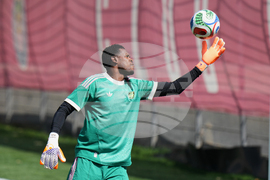 Mexico Jamaica WCup Soccer
