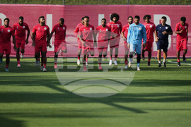 Mexico New Caledonia WCup Soccer