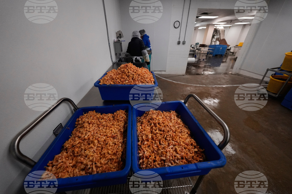 Immigration Guest Workers