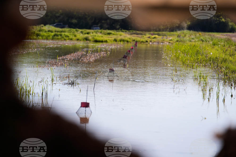 Immigration Guest Workers