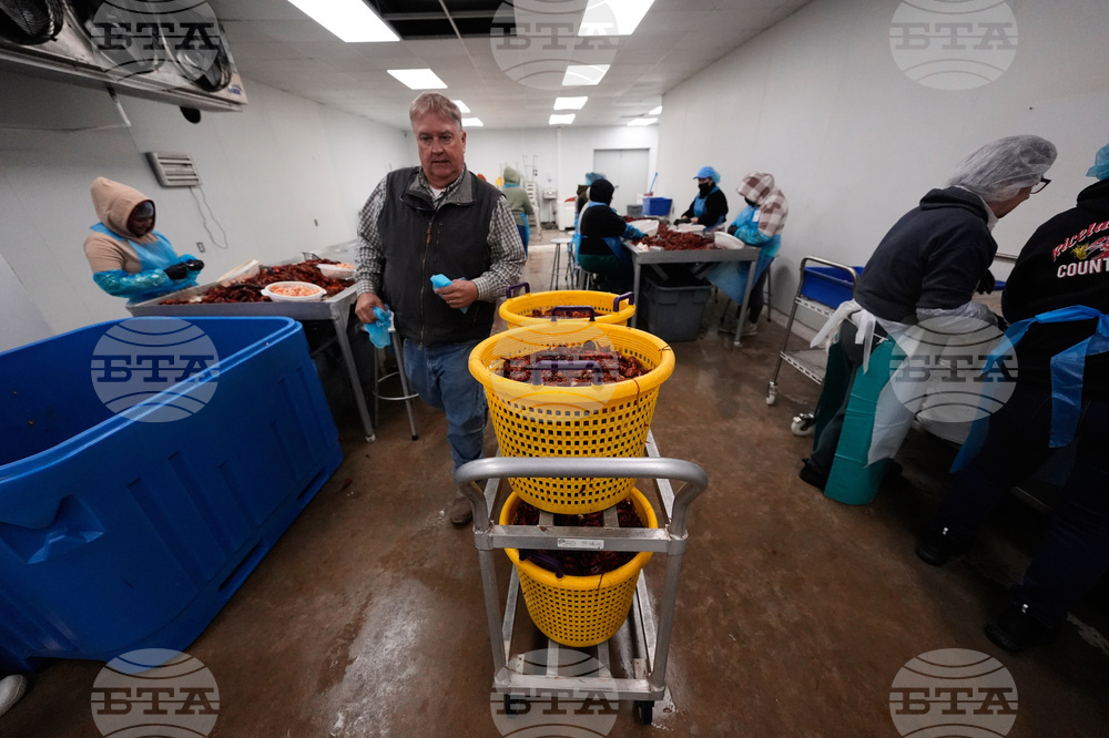 Immigration Guest Workers