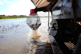 Immigration Guest Workers