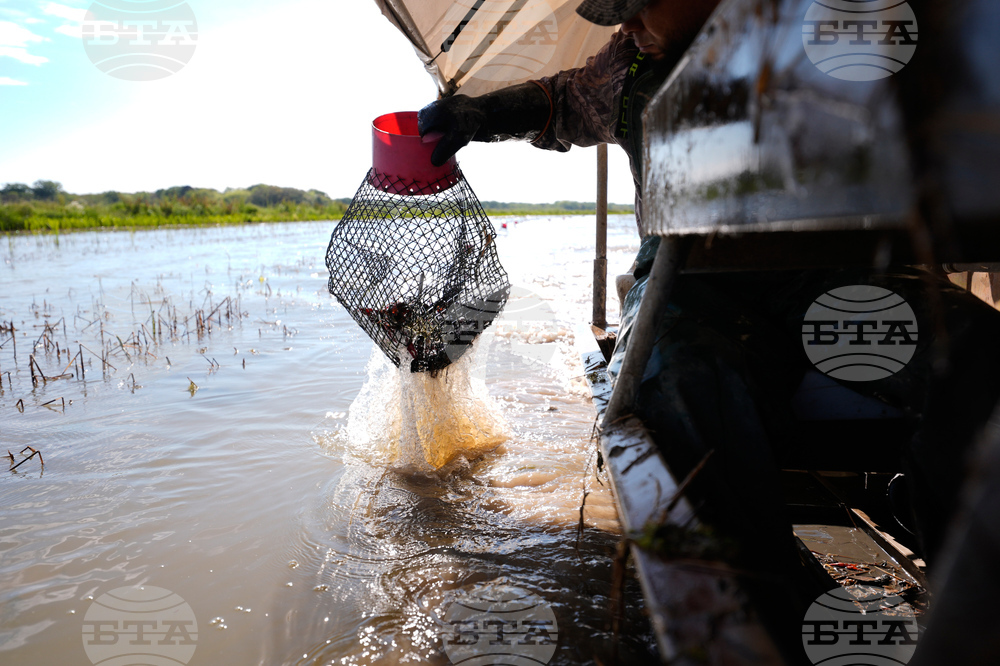 Immigration Guest Workers