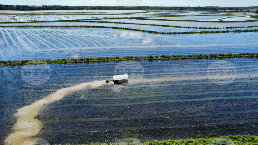 Immigration Guest Workers