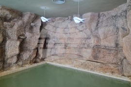 Кранево - хотел „Еко Терма Вилидж“ - СПА център - туризъм